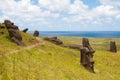 Moais at Rano Raraku, Easter island (Chile