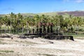 Moais standing on the Anakena Beach Royalty Free Stock Photo