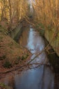 The moat of the Fort of Steendorp bridged with fallen trees