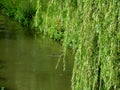 Moat with water in old Citadel of Lille Royalty Free Stock Photo