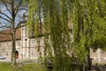 Moated castle Raesfeld Germany - Weeping willow