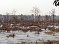 Moats neer Neak Pean Royal Reservoirs, Siem Reap Province, Angkor\'s Temple Complex Site listed as World Heritage by Unesco