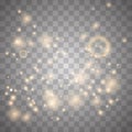 Sparks glitter special light effect Royalty Free Stock Photo