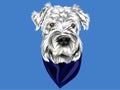 Vector portrait of white dog with gray and a bandana on blue background in vector, perfect as icon or as background