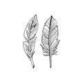 Bird feathers doodle icon vector