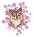 Dog in brown vector illustration with light and dark tones like queen icon with a crown and light purple spots background Royalty Free Stock Photo