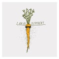 Greeting cards with carrot and motivation phrase I am an introvert on a bright background