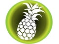 Vector icon of white pineapple with background in shades of green type tropical illustration of beach vacation