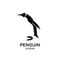 Penguin black walk logo icon designs vector illustration silhouette Royalty Free Stock Photo