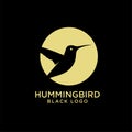 Hummingbird gold black flat circle logo icon designs vector illustration Royalty Free Stock Photo