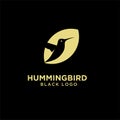 Hummingbird vintage classic leaf logo icon designs vector illustration Royalty Free Stock Photo