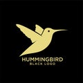 Hummingbird black flat silhouette logo icon designs vector illustration Royalty Free Stock Photo