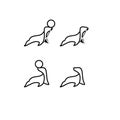 Set collection seals sea lion animal line logo icon design vector illustration
