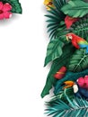 Tropical plants and birds collection set Royalty Free Stock Photo