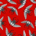 Seamless pattern with goliath beetle. Vector Royalty Free Stock Photo