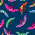 Seamless pattern with goliath beetle. Vector Royalty Free Stock Photo