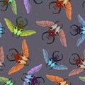 Seamless pattern with goliath beetle. Vector Royalty Free Stock Photo