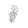 Grape doodle icon vector hand drawing simple background