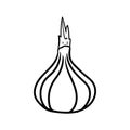 Onion doodle icon vector hand drawing simple background