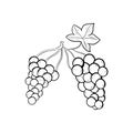 Grape doodle icon hand drawing simple background