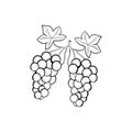 Grape doodle icon hand drawing simple background