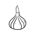 Onion doodle icon vector hand drawing simple background