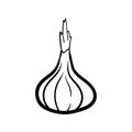 Onion doodle icon vector hand drawing simple background