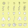 Set of botanical vector hand-drawn graphics to create creativity