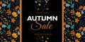 Autumn sale background layout decorate with leaves for shopping sale or promo poster and frame leaflet or web banner. Royalty Free Stock Photo
