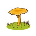 Chanterelle mushroom hand drawn icon isolated on white background for culinary design label and product market.