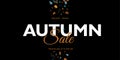 Stylish Autumn Sale Banner Abstract Illustration Background with Falling Autumn Leaves