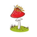 Amanita Muscaria, Poisonous Mushroom With Orange Leaves, Illustration On A Cartoon Style.