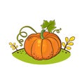 Orange pumpkin with green leaves and curly stems, illustration on a cartoon style.