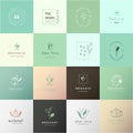 Set of business beauty nature logo design vector