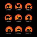 Set of camel logo design vector Royalty Free Stock Photo