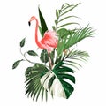 Paradise pink flamingo birds with exotic leaves. Card template composition. Royalty Free Stock Photo
