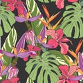 Seamless tropical pattern, vivid tropic foliage, with palm leaves, bird of paradise flower, heliconia in bloom, hibiscus. Royalty Free Stock Photo