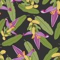 Seamless tropical pattern with banana palms branch with flower and fruit with leaves. Royalty Free Stock Photo