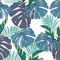 Hand drawn mixed kinds of monstera bananas leaves and palm seamless pattern on white background.