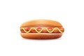 Hot dog realistic vector illustration Royalty Free Stock Photo