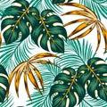 Trendy seamless tropical pattern with bright plants and leaves on a colorful background. Seamless pattern with colorful leaves