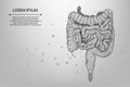 Abstract meah line and point polygonal intestines. Scanning, research and diagnosis of the human intestines