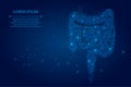 Abstract meah line and point polygonal intestines. Scanning, research and diagnosis of the human intestines. Royalty Free Stock Photo