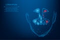 Abstract mesh line and point Sinusitis. Low poly Healthy and inflammation nasal sinus