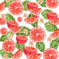 Vector Watercolor Fruit Blood Orange Surface Pattern