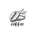 Hand drawn coffee beans heap. Monochrome vector illustration in retro style