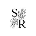 Initial letter SR beautiful handwriting logo vector template Royalty Free Stock Photo