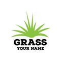 Grass design logo template. green grass illustration vector