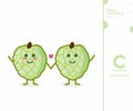 Fruit from A-Z ,C Edition, - cherimoya illustration vector