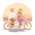 The Older Persons. Grandpa and grandma ride a tandem bike together Royalty Free Stock Photo